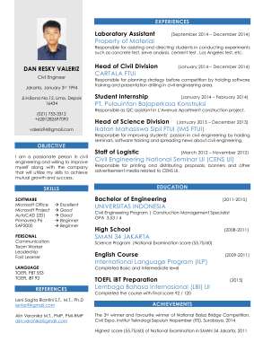 CV DRV.pdf