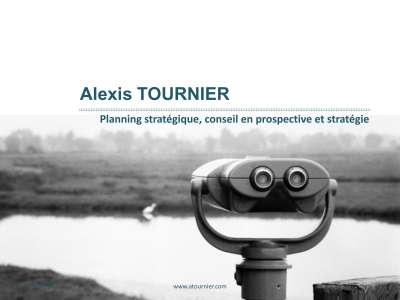 Alexis Tournier_Partenaire Strategique.pdf