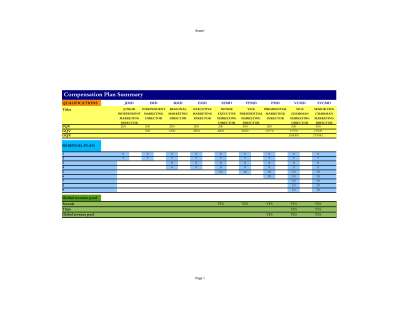Compensation_plan_summary.pdf