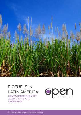 OPEN Whitepaper, Biofuels in Latin America.pdf