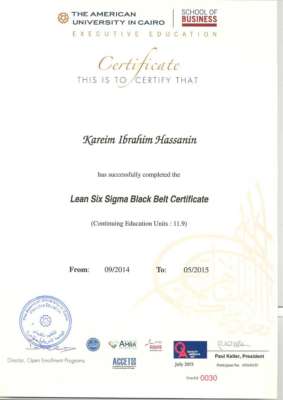 Lean Six Sigma Certificate.pdf