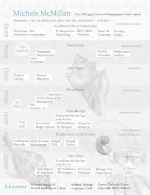 MicheleMcMillan 2015 Resume2M.pdf