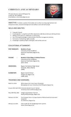 Christian Mindaro CV.pdf