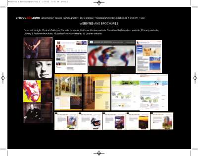 Websites & Brochures_Layout 1.pdf