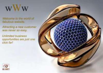 Web Presentation.pdf