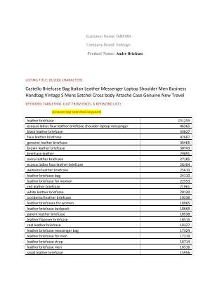 Castello Briefcase  Optimaisation report .pdf