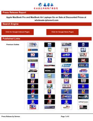 Press-Release-Business-Plan-Sample-Report.pdf