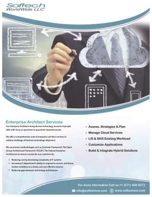 Softech_Worldwide_LLC_Services.pdf