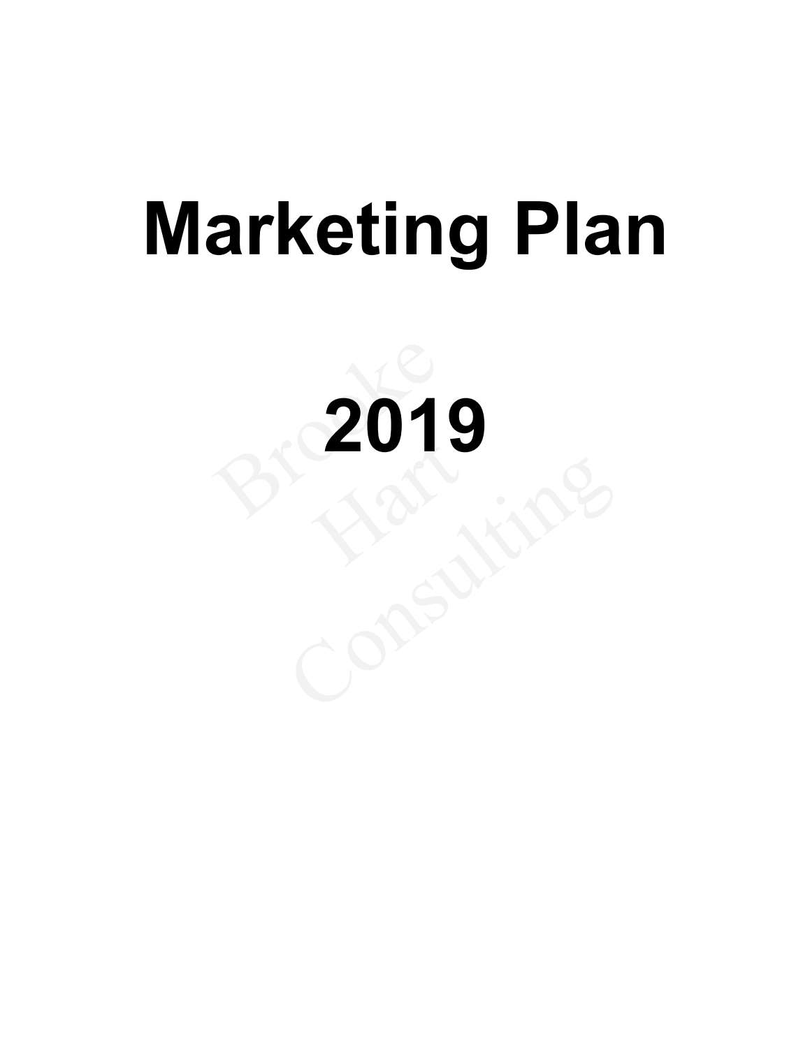 2019 Marketing Plan Sample.pdf