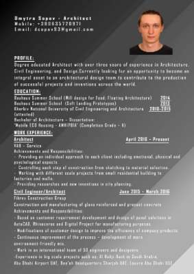 CV Dmytro Sopov.pdf