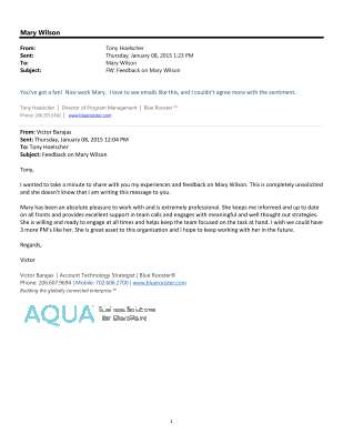 Feedback on Mary Wilson.pdf