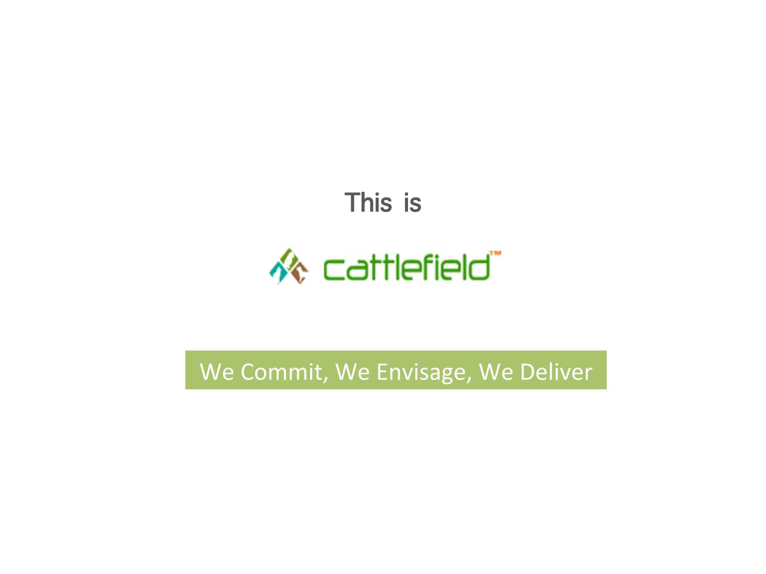 cattlefield_portfolio.pdf