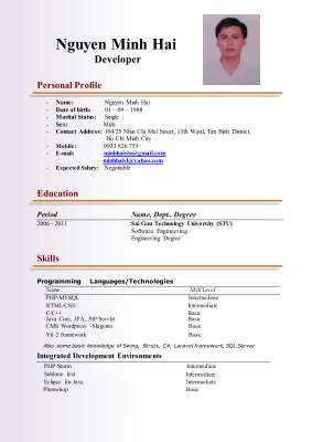 nguyenminhhai_en.pdf