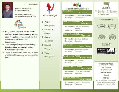 Mahesh CV summary.pdf
