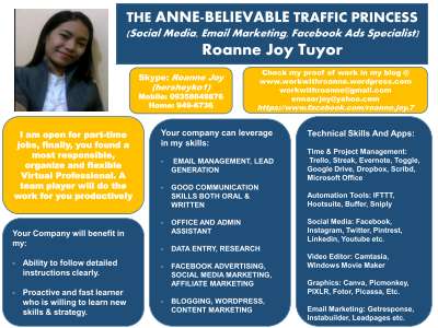 Resume-Virtual Professional.pdf