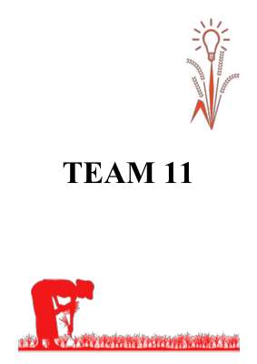 Team 11 HPS.pdf