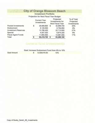 Investment Portfolio.pdf