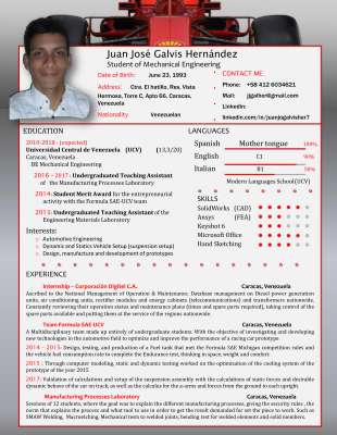 OnlineCV_English_Printable.pdf