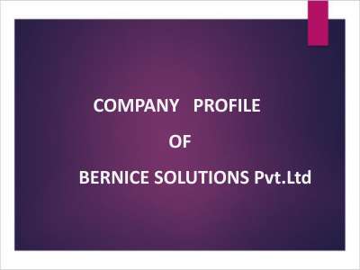 BERNICE COMPANY PROFILE.pdf