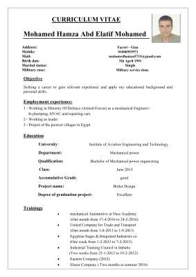 cv mohamed hamza new.pdf