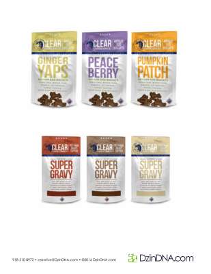 DzinDNAPackagingBranding.pdf
