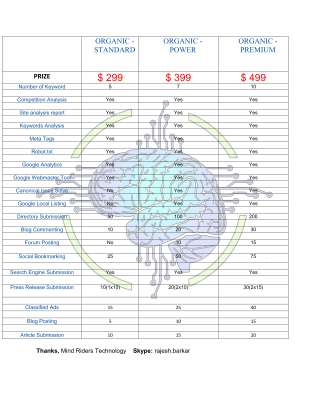 Search Engine Optimization.pdf