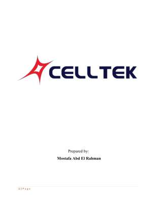 EMR Final Report.pdf