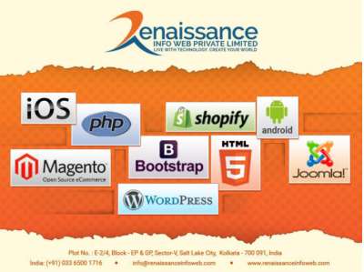 Renaissance-portfolio- (1).pdf