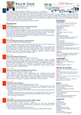 Jan 2020 Walid CV Computer Management.pdf