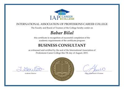 Certified Business Consultant.pdf