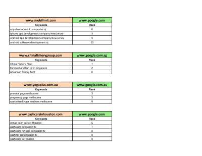 SEORANK-SuccessfulProjects.pdf