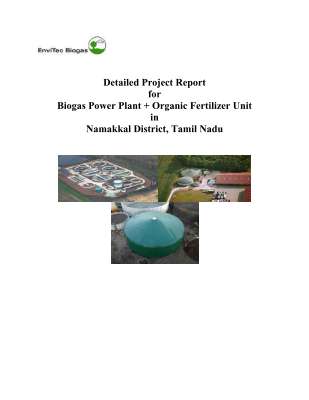 Detailed_project_biogas_power_plant.pdf