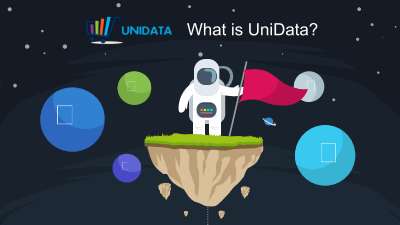 UniData Corporate Profile (PDF).pdf