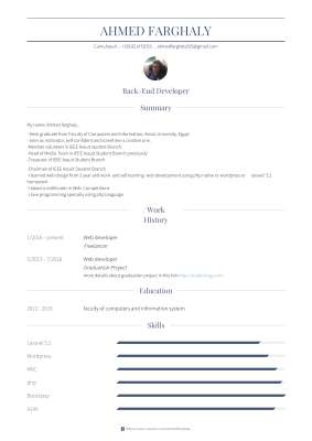 ahmed_farghaly_visualcv_resume_2.pdf