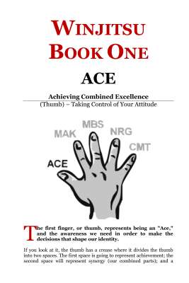 WINJITSU_ACE_SAMPLE.pdf