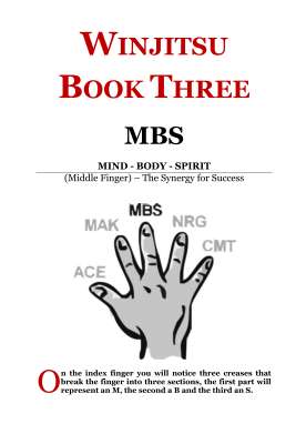 WINJITSU_MBS_SAMPLE.pdf