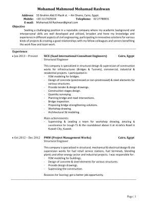 Mohamad Rashwan CV.pdf