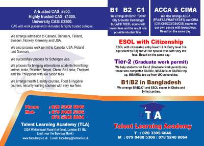 brushire_page_1-4.pdf