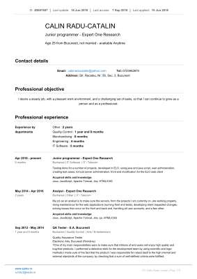 CV_Calin_Radu-Catalin_en.pdf