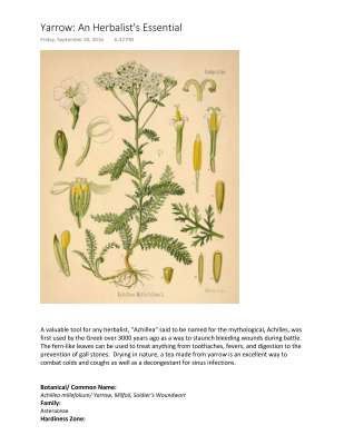 yarrow.pdf