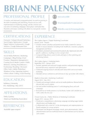 Bri Resume.pdf