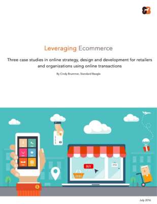 Ecommerce-Case-Studies.compressed.pdf