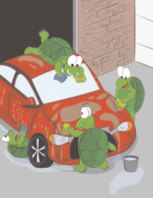 TurtleWax.pdf