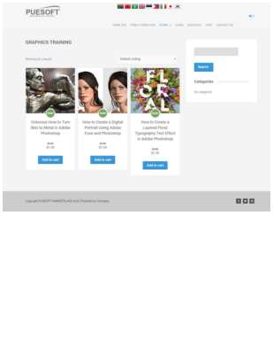 GRAPHICS TRAINING   PUESOFT MARKETPLACE.pdf