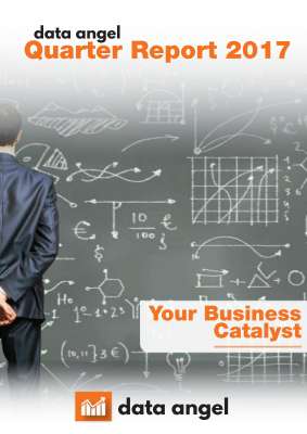 Data Angel Quarter Report 2017.pdf