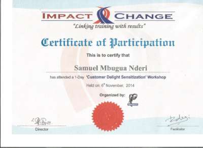 IMPACT CHANGE.pdf