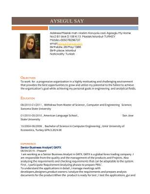 AYSEGULSAY-CV3.pdf