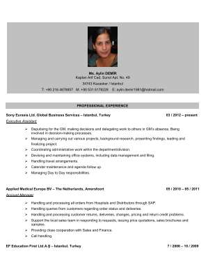 Aylin Demir CV English.pdf