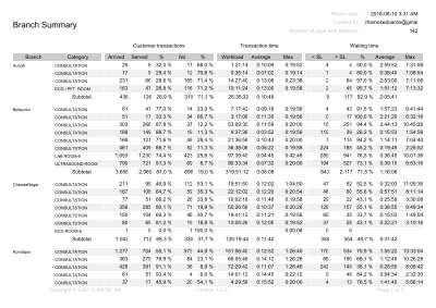 Example - branchSummary.pdf