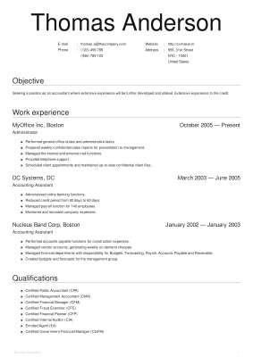 executive_cv.pdf